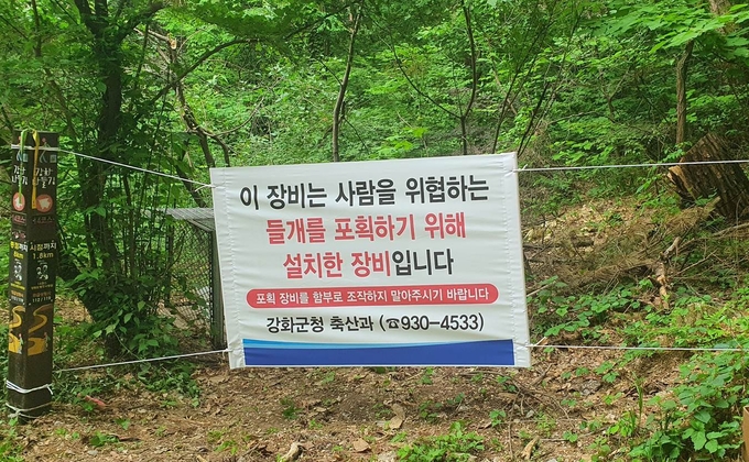 인천 강화군이 설치한 들개 포획 장비. ( 사진 = 강화군청 제공 )