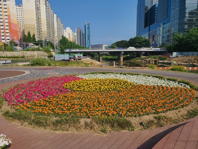 안양천과 학의천 교차지점인 쌍개울에 조성된 여름꽃 모습.(사진=안양시청 제공)