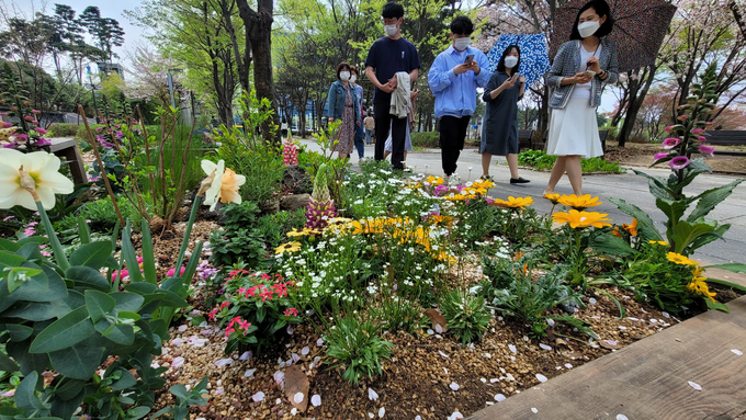 지난 4월 한뼘 정원이 있는 성남시청 주변에서 시민들이 산책을 하고 있다. (사진=성남시청 제공)