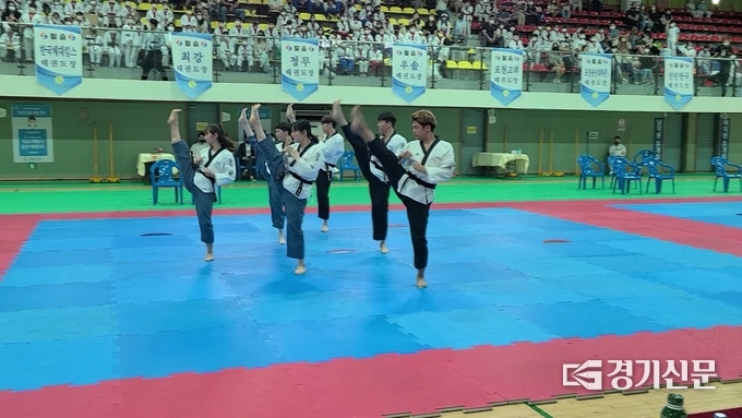포천시청 태권도부 선수들이 품새 시범을 보이고 있다. (사진=문석완 기자)