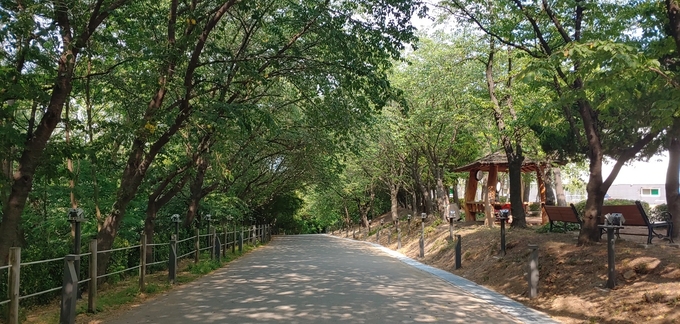 인천 미추홀구 승학산 둘레길. ( 사진 = 미추홀구청 제공 )