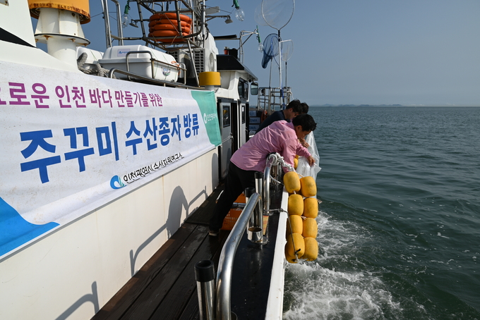 주꾸미 수산종자 방류 모습. ( 사진 = 인천시 제공 )