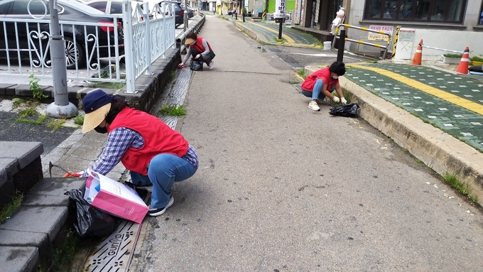 군포시 산본1동 통장협의회 회원들이 도로변 잡초 제거작업을 하고 있다.(사진=군포시 산본1동 제공)