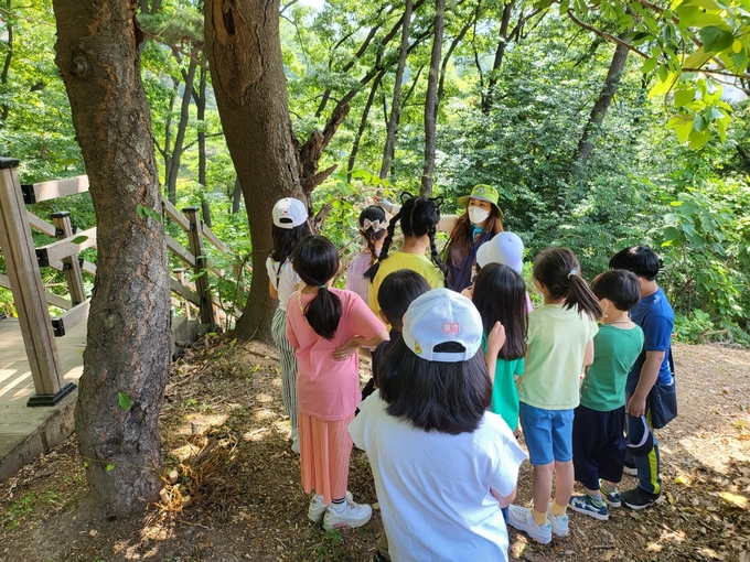 용인시 마북초등학교는 6월 한 달 동안 학교 숲 및 학교 인근의 마북 공원을 활용해 전교생이 참여하는 '숲 체험 활동'을 진행했다.(사진=용인시 마북초등학교 제공)