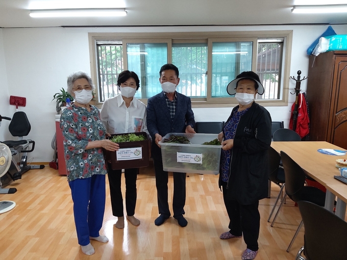 군포시 군포1동 주민자치회가 옥상텃밭에서 수확한 농작물을 효자경로당에 전달했다.(사진=군포시 군포1동 주민자치회 제공)