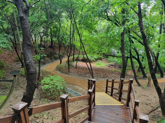 용인시는 수지구 죽전동에 위치한 대지산근린공원 산책로를 새 단장했다.(사진=용인시 제공)