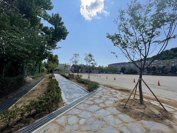 문산제일고등학교 내 친환경 ‘학교숲’ 조성 모습(사진=파주시 제공)