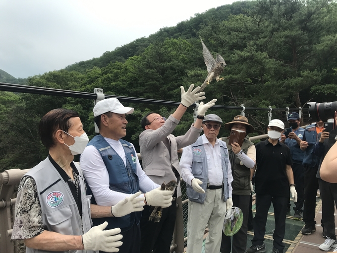 지난 6일 재인폭포 출렁다리에서 김덕현 연천군수와 성기호 한국조류보호협회 연천군지회장, 천연기념물 보호센터 김성수 박사 등 20여명은 황조롱이 2마리를 자연의 품으로 돌려보냈다.(사진-=연천군 제공)<br>
