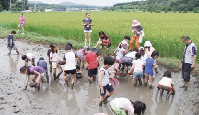 용인학일마을 농촌체험 현장 사진. (사진=농협 팜스테이 홈페이지)