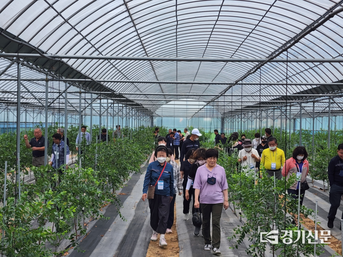 포천시산림조합 신규가입 조합원들이 실습교육을 받고 있다. (사진=포천시산림조합 제공)