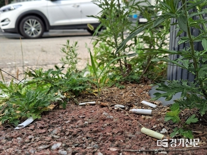  흡연자들이 흡연구역이 없어 길거리에 담배꽁초를 버렸다. (사진=정창규 기자)