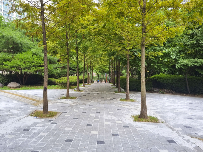 용인시는 수지구 상현동 서원근린공원과 기흥구 영덕동 샘골근린공원을 새로 단장했다(사진=용인시 제공)