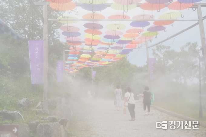 스카이허브팜 우산길 향기샤워 분사 장면. (사진=허브아일랜드 제공)