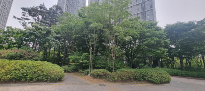 수원의 한 아파트 단지에 조성된 다층구조 숲 형태 녹지. (사진=수원시 제공)