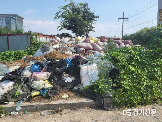수원특례시 권선구 황구지천 인근에 무단 투기된 쓰레기 더미. (사진=정창규 기자)