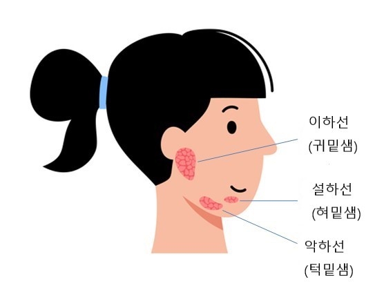 악하선 위치. (사진=한림대동탄성심병원 제공)