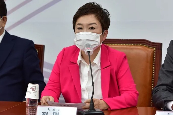 정미경 국민의힘 최고위원. (사진=국회사진기자단)
