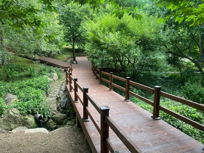 용인특례시는 용인자연휴양림 내 야생화단지 산책로를 새로 단장했다.(사진=용인시 제공)