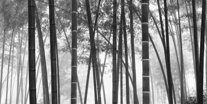 김대수, general guan, 550x1200, gelatin silver print, 2010. (사진=아트스페이스J 제공)