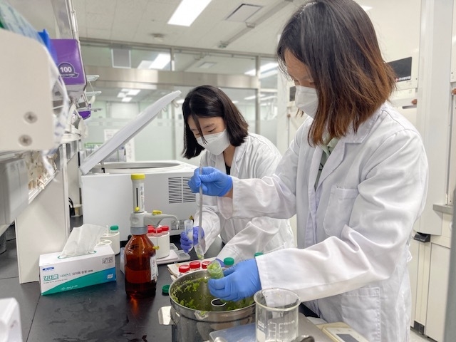경기도 보건환경원구원이 도내 유통되는 쌈 채소류를 수거해 잔류농약 검사를 하고 있다. (사진=도 보건환경연구원 제공)