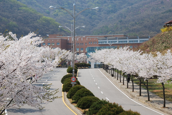 안양대학교 인천강화캠퍼스 전경.(사진=안양대 제공)