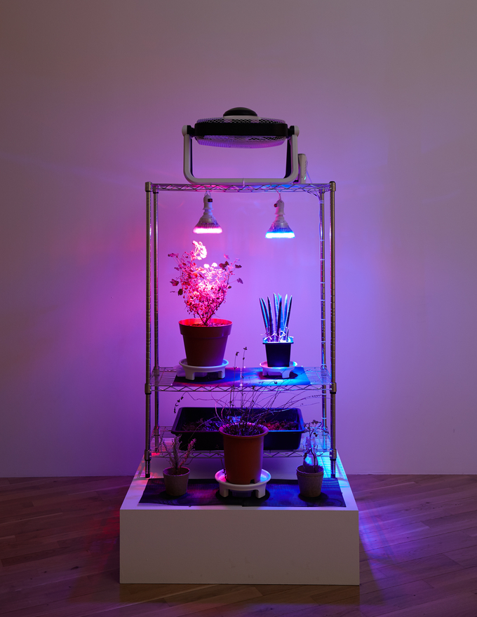 식물요양소, 김이박, 2022, 철제 가구, 식물, 식물 LED 조명, 선풍기, 90x40x200cmx2ea. (사진=예술의전당 제공)