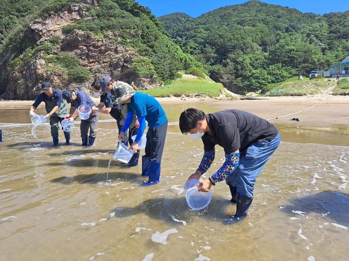 지난 7일 대청 지역에서 옹진군 관계자 등이 꽃게 종자 방류를 하고 있다. ( 사진 = 옹진군 제공 )