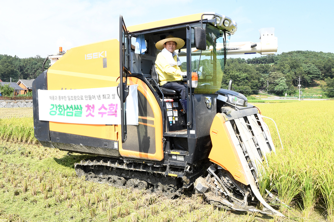 강화도의 넓은 들녘에서 ‘강화섬쌀’ 수확이 한창이다. ( 사진 = 강화군 제공 )