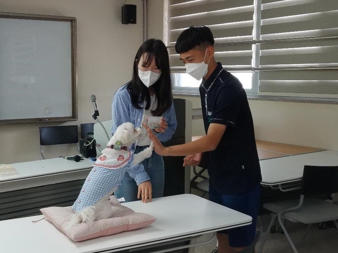  용인교육지원청이 동물 매개치료사에 대해 ‘휴먼북 라이브러리’ 독서 프로그램을 진행하고 있다. (사진=용인교육지원청 제공)