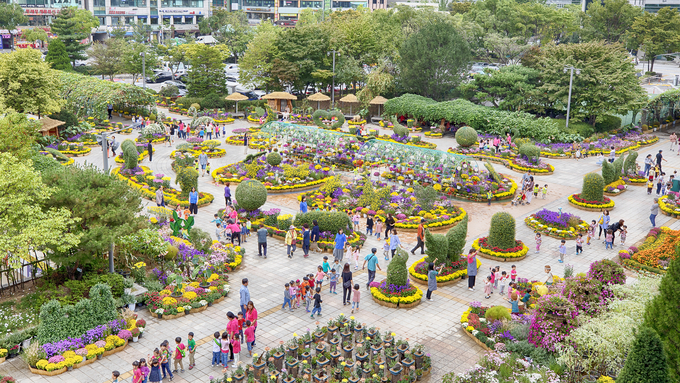 2019년 계양구청 남측 광장에서 열린 가을꽃 축제 모습. ( 사진 = 계양구 제공 )