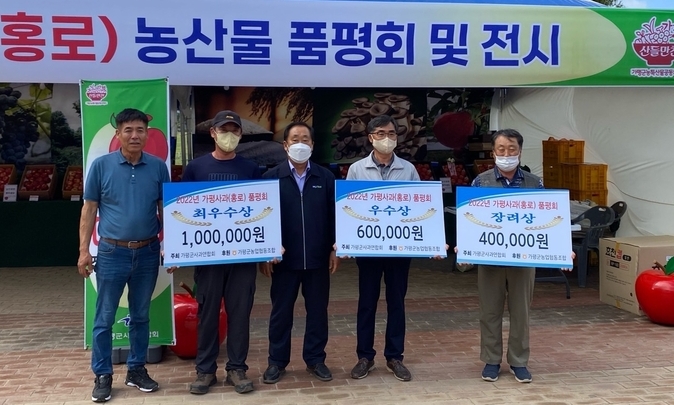 지난 9월 19일-20일 가평군농업기술센터 주관으로 실시한 가평 과수 품평회에서 북면 유강현 농업인이 사과(홍로) 부문 최우수상, 조종면 강성관 농업인이 포로(캠벨얼리) 부문 최우수상의 영예를 안았다. (사진=가평군 제공)