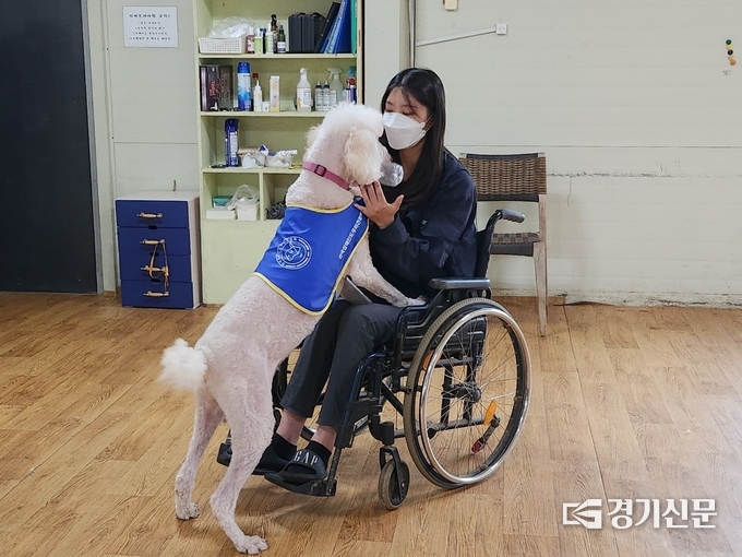 훈련사에게 물병을 갖다주는 지체장애인도우미견 말리. (사진=강현수 기자)