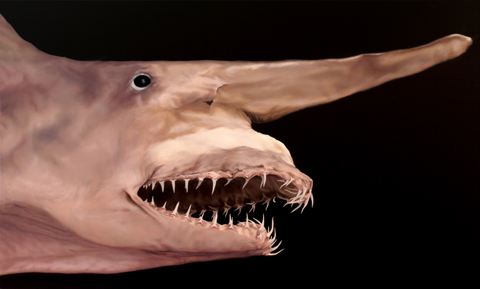 다비드 베네딕트 베흐트, 테티스, 2020, 캔버스에 유채, 55×90㎝. (사진=아트센터 화이트블럭 제공)