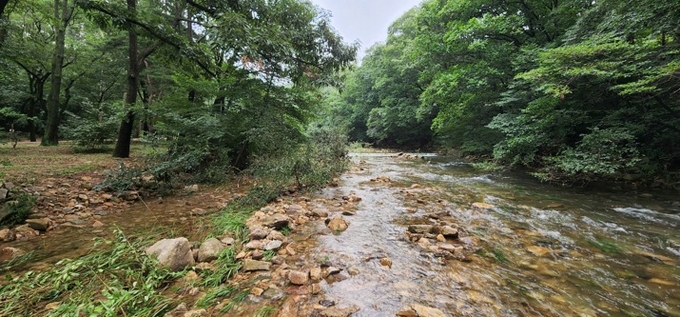 안양시는 산림청이 시행하는 내년도 산림유역관리 공모사업에 최종 선정됐다. 사진은 산림유역관리사업 대상지 모습.(사진=안양시 제공)