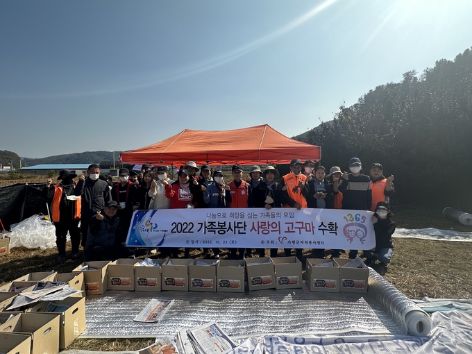 가평군 자원봉사센터(센터장 임대원)는 지난 20, 22일 이틀에 걸쳐 고구마 캐기 봉사활동을 실시했다.(사진=가평군자원봉사센터 제공)<br>