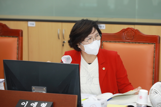 이애형 의원 (사진=도의회 제공)