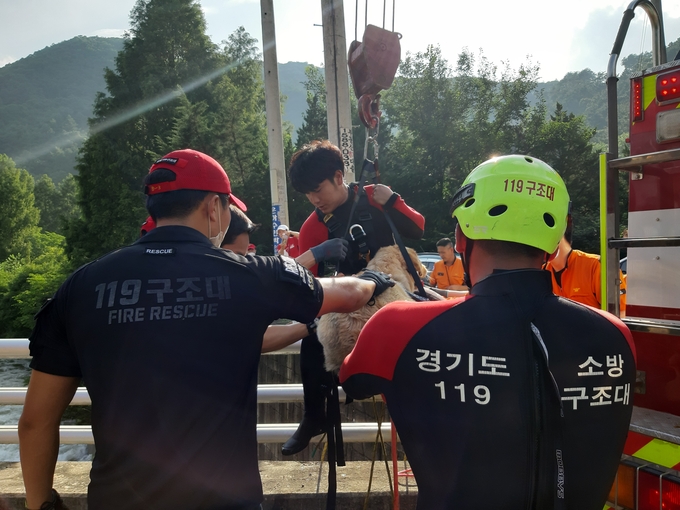 지난 8월 반려견을 무사히 구조한 김진유 소방교의 모습. (사진=경기소방재난본부 제공)