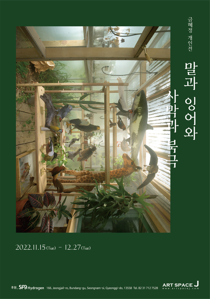전시 '말과 잉어와 사막과 북극' 포스터. (사진=아트스페이스 J 제공)