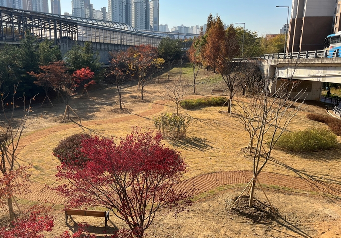 용인 상현동 교통광장에 조성된 도시숲. (사진=용인시 제공)