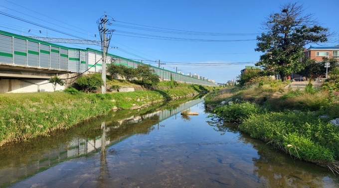 오산시 궐동천, 환경부 최우수 하천으로 선정(사진=오산시 궐동하천 전경모습/오산시 제공)