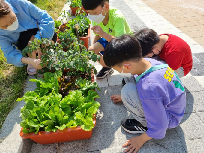  판교대장초 학교돌봄터의 맞춤형 특기적성 프로그램인 ‘키즈Farm’이 진행되고 있다. (사진=판교대장초등학교 제공)