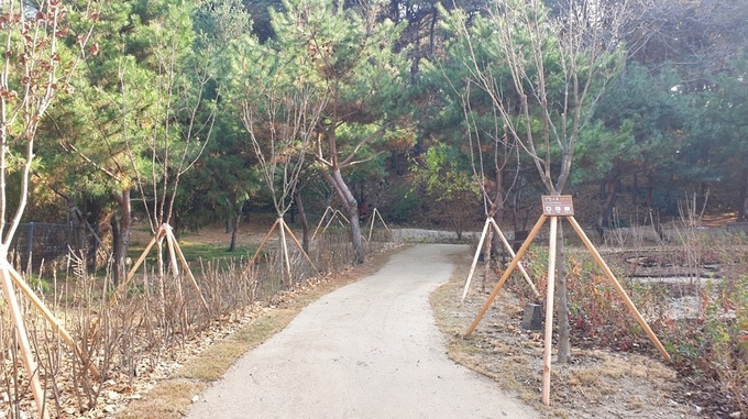수원시 숙지공원 일부가 생태숲으로 준공된 모습. (사진=수원시 제공)