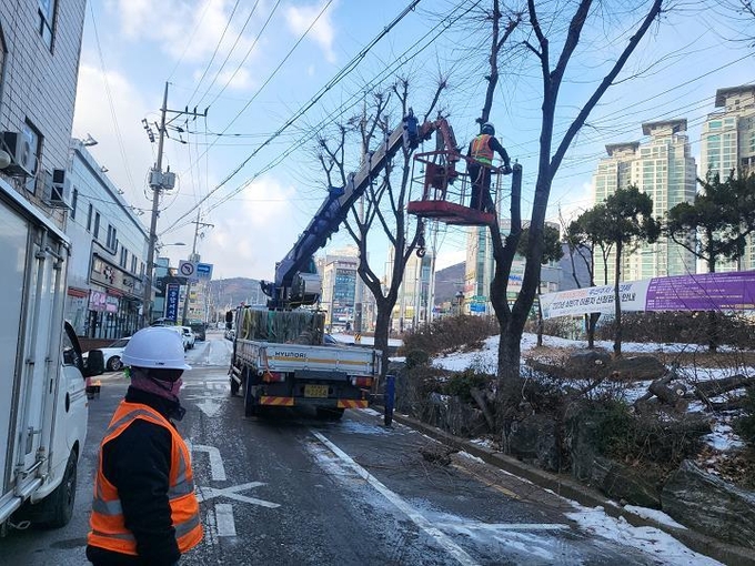 시흥시가 신천역 3번 출구 옆 수인로 완충녹지대 300여 미터 구간의 고목을 정비해, 일부 광장과 테마녹지 등으로 재탄생시켰다.(사진=시흥시 제공).