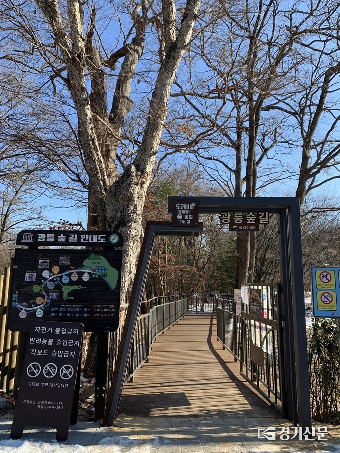 광릉숲길 입구. (사진=국립수목원 제공)