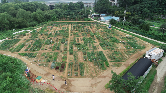 용인특례시는 올 한 해 기흥구 공세동 시민농장에서 텃밭을 가꿀 시민농부 800팀을 모집한다.(사진=용인시 제공)