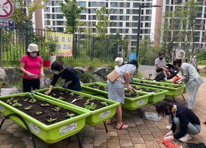 광주시가 아파트 단지 내, 도심 속 소규모 텃밭을 운영할 수 있도록 주민들을 대상을 모집하고 있다.(사진= 광주시 제공)
