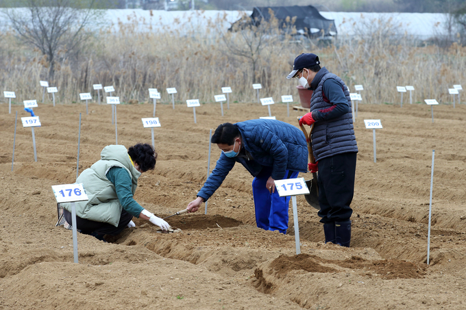 지난해 인천 남동구 남촌동 510-8 텃밭에서 근로자들이 작업을 하고 있다. ( 사진 = 남동구 제공 )