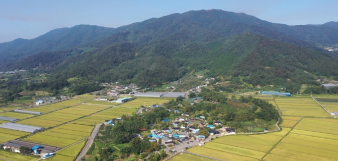 (사진=연합뉴스 제공)