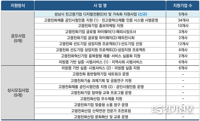 기업지원사업 목록. (표=성남 시니어산업혁신센터 제공)