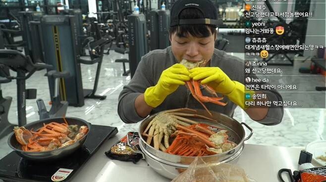 핏블리 이미지